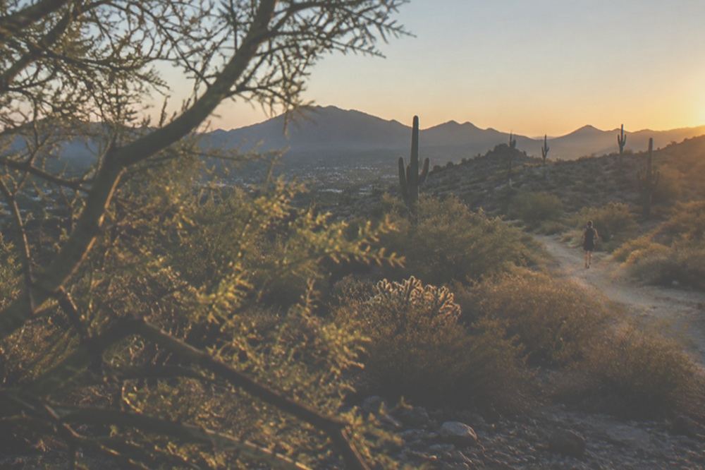 Sunrise light over saguaro covered desert hills near Phoenix