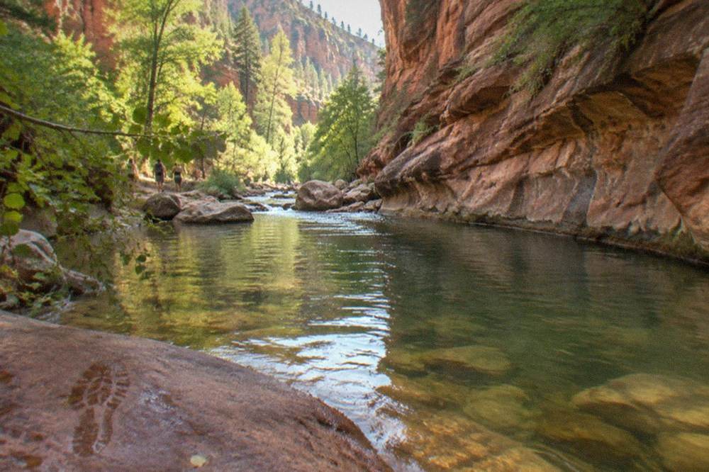 A creek running between tall red canyon walls with trees along the banks