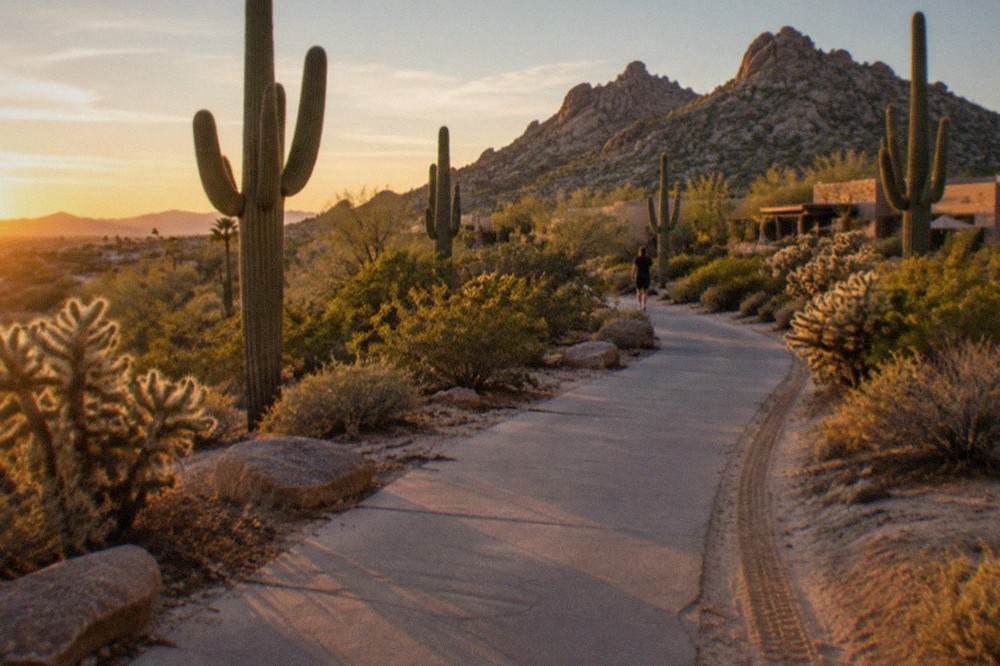 Desert foothills with saguaro cacti and a paved trail winding toward rocky peaks at golden hour