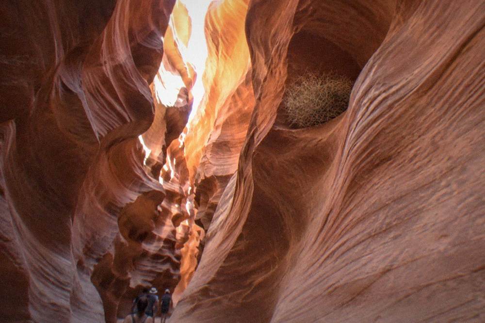 A tall slot canyon wall lit from above with a bright opening