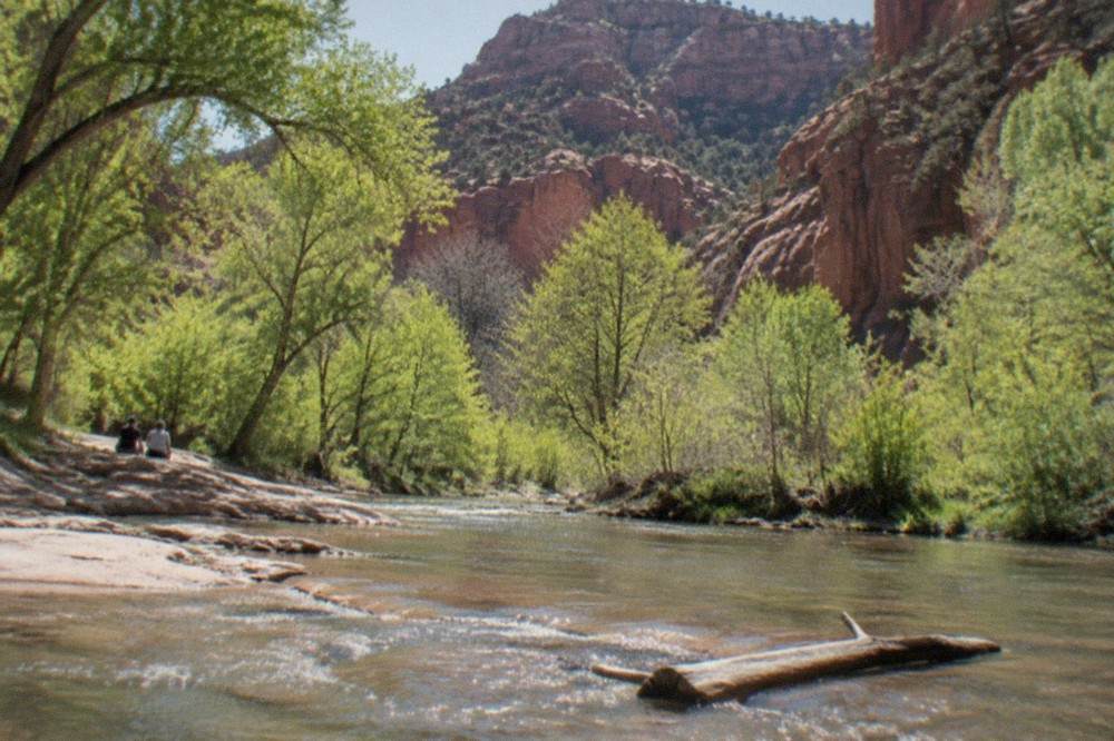 Red rock cliffs in Oak Creek Canyon with green trees along a creek in spring