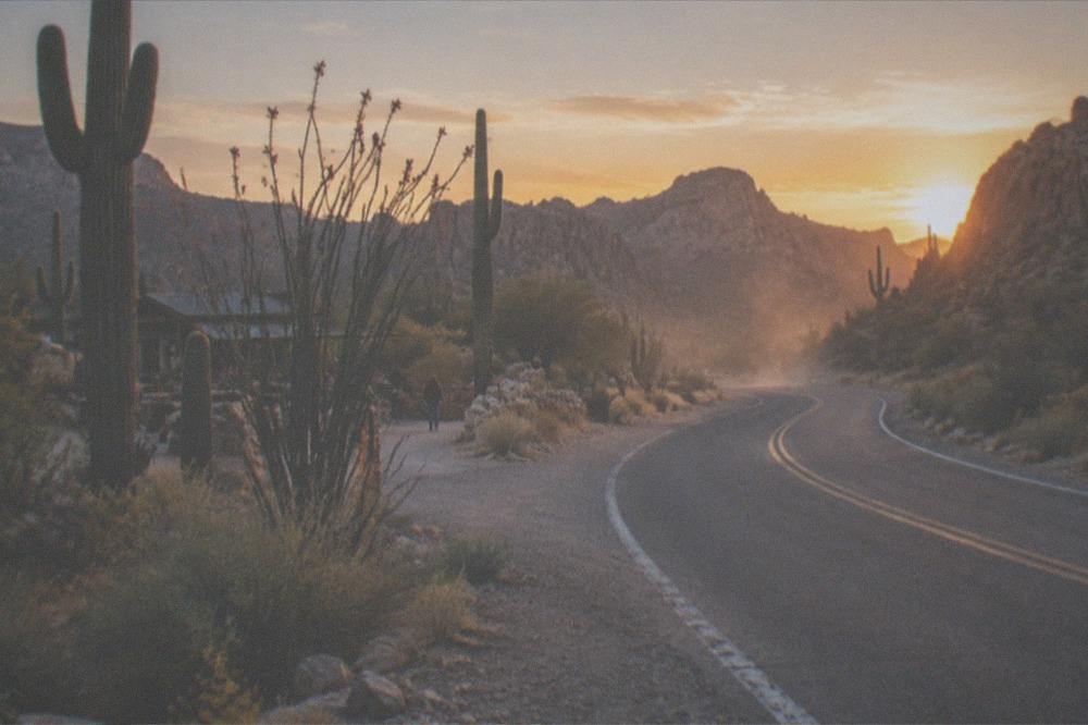 Desert highway curving toward canyon walls on the Apache Trail at golden hour