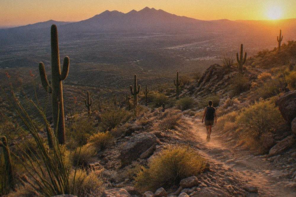 A rugged desert trail winding past saguaro cactus toward distant mountains at sunset