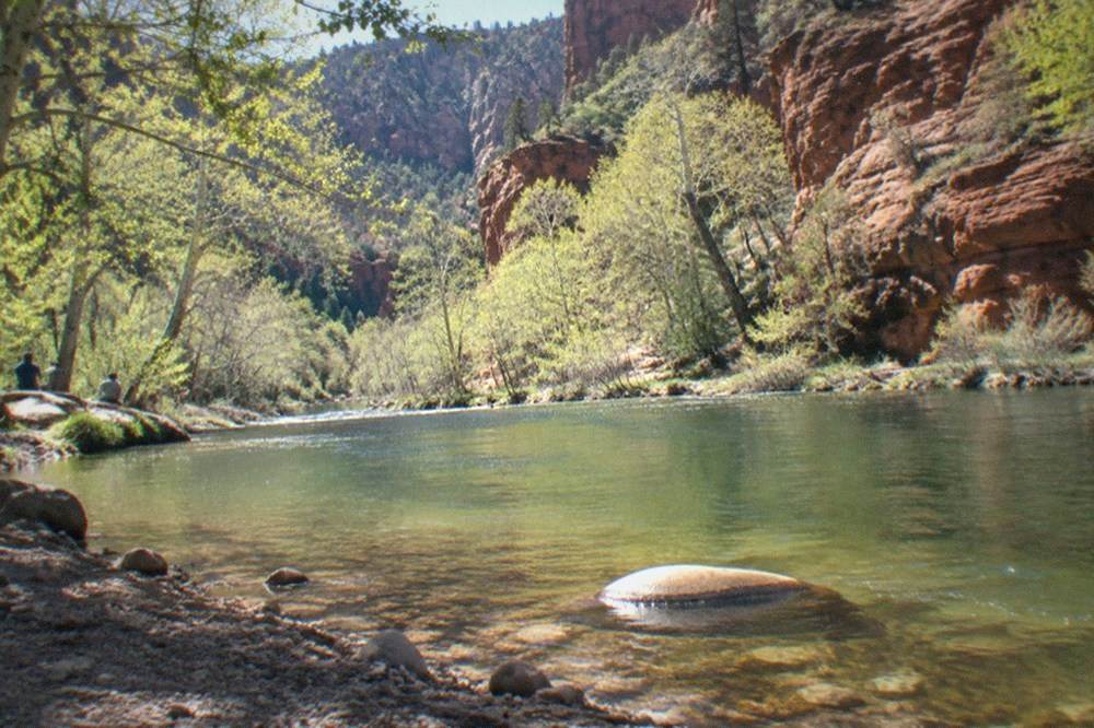 Sandstone cliffs and oak trees along a creek in a red rock canyon